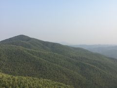 -蔡伦竹海