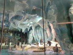 -帝企鹅自助餐厅•儿童岛•真企鹅(长隆企鹅酒店)