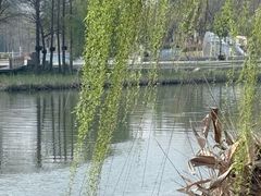 -映月湖中央公园