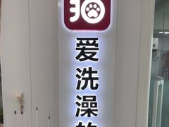 -爱洗澡的猫(望京店)