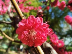 -月坛公园