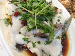 功夫鲩鱼-凤厨顺德水乡凤味馆(大良锦龙路店)