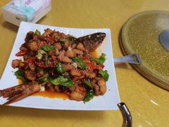 -煲来饱去冷水鱼