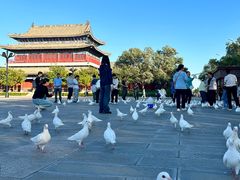 -天津妈祖文化园