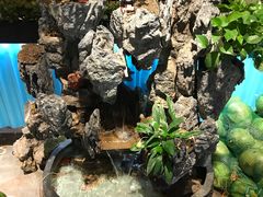 -东椰·海南椰子鸡火锅(朝阳门店)