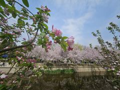 -海棠花溪(元大都城垣遗址公园)