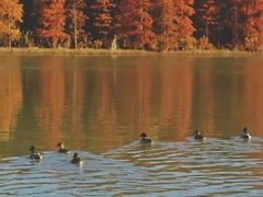 -上海海湾国家森林公园