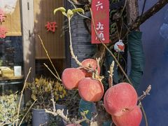 -四喜小胖·北京涮肉(五道营店)