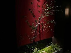 -拾宴(汇智国际商业中心店)