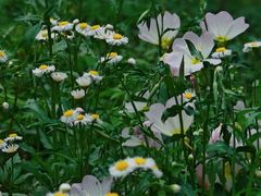 -苏州河梦清园环保主题公园