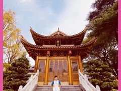 -上海东林寺(金山区)