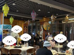 -九寨特色牦牛肉汤锅 羊肉汤锅