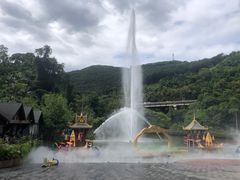 -西双版纳原始森林公园