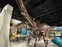 -国家自然博物馆