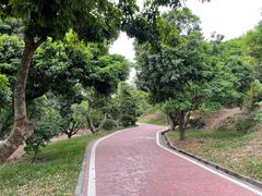 -大屏嶂森林公园