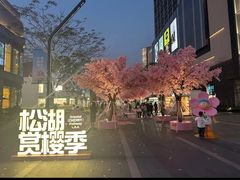 -东莞松山湖万象汇