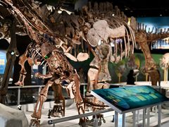 -国家自然博物馆