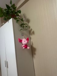 -Dr.林醫生产后修复·配方产康(南京江宁万达店)