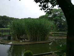 -金龟岛渔村