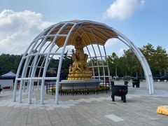 -龙口南山旅游景区