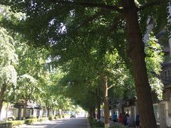 -四川大学(望江校区)