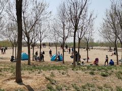-东郊湿地公园