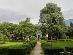 -番禺广场(市桥街道)