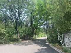 -千佛山风景名胜区