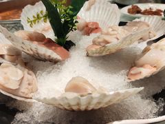 赤贝-新一哥粤菜火锅(瑞金店)