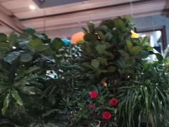 -弘安丽水温泉酒店