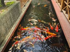 -侠成水上农庄(工业大道店)