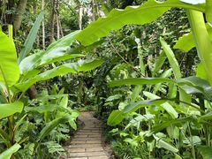 -中国科学院西双版纳热带植物园