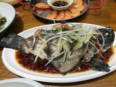 -必点海鲜·鲅鱼水饺(鞍山西道店)