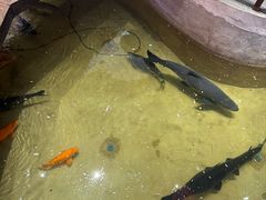 -好灶头妈妈菜·柴火灶台鱼·千岛湖土菜地标美食