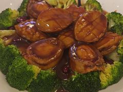 -深圳富苑皇冠假日套房酒店