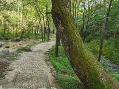 -玉渡山自然风景区