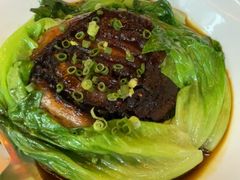 -食德喜·阳山鸡王食研基地