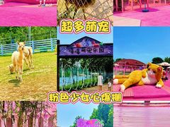 -渔岛海洋度假区