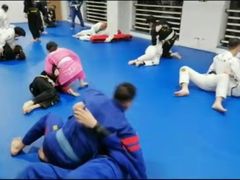 -尚柔巴西柔术馆