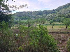 -南国桃园旅游度假区