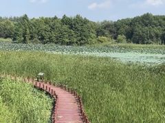 -苏州东太湖生态园