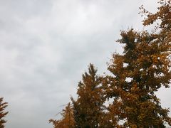 -汉景帝阳陵博物院