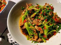 香菜炒牛肉-壹盏灯(蚂蚁工房店)