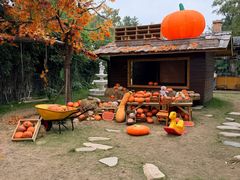 -HERRE·FARM 赫尔露营农场·团建聚会包场