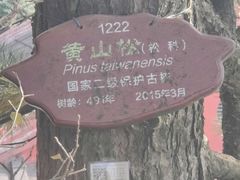 -南岳衡山风景名胜区