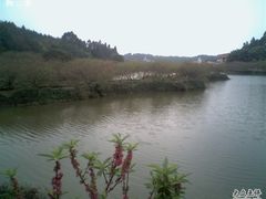 -南国桃园旅游度假区