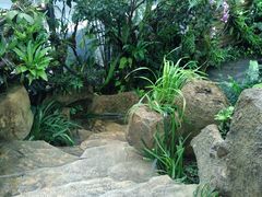 -东莞植物园