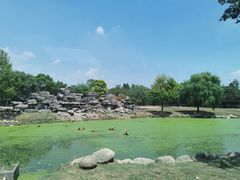 -上海野生动物园