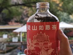 -灵山大佛梵宫餐饮
