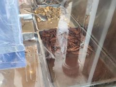 -阿二烤鸡(山塘街店)